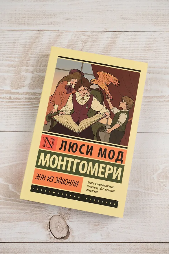 Книга Энн из Эйвонли (Люси Мод Монтгомери) — 6