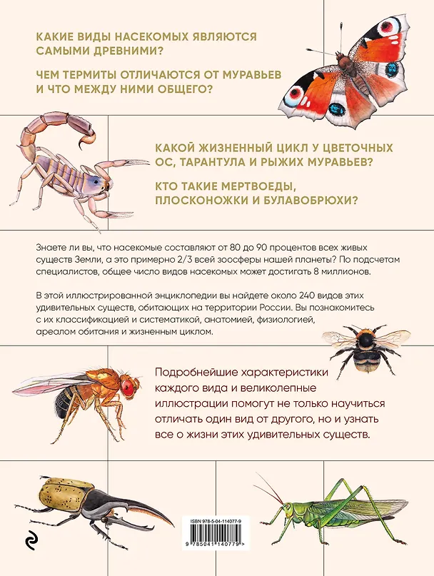 Книга Насекомые. Иллюстрированная энциклопедия начинающего энтомолога (Михаил Куценко) — 2