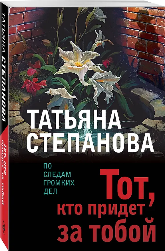 Книга Тот, кто придет за тобой (Татьяна Степанова) — 4