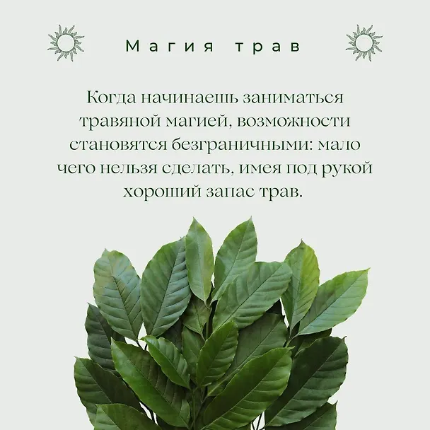 Книга Магия трав. Древние практики исцеления травами (Патти Вигингтон) — 11