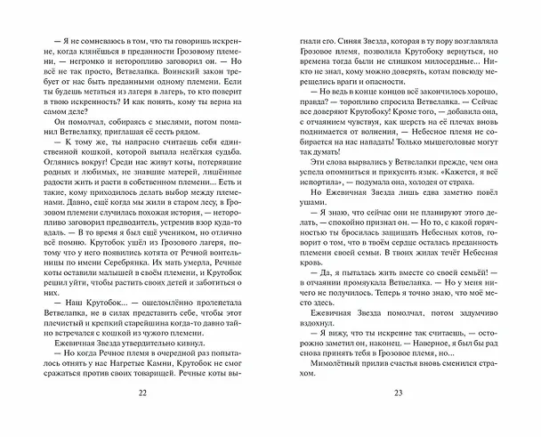 Книга Огненная река (Эрин Хантер) — 11