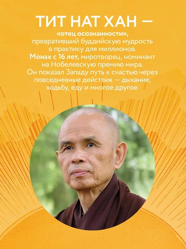 Книга Путь к радости. Учение Тит Нат Хана об осознанной жизни. Ешь, гуляй, сиди, люби отдыхай осознанно. (Тит Нат Хан) — 6