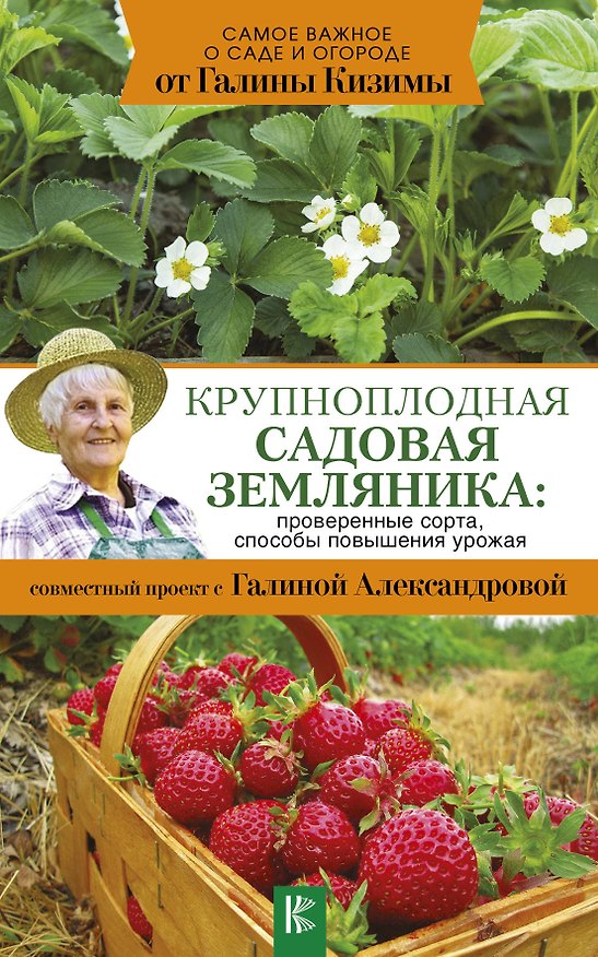 Книга Крупноплодная садовая земляника: проверенные сорта, способы повышения урожая (Галина Кизима) — 1