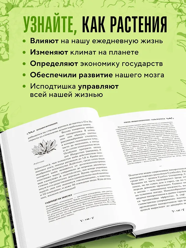 Книга Ботаника антрополога. Как растения создали человека. Елки-палки (Станислав Дробышевский) — 7