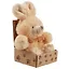 Мягкая игрушка Зайка белый в крафт коробке — 2481735 — 2