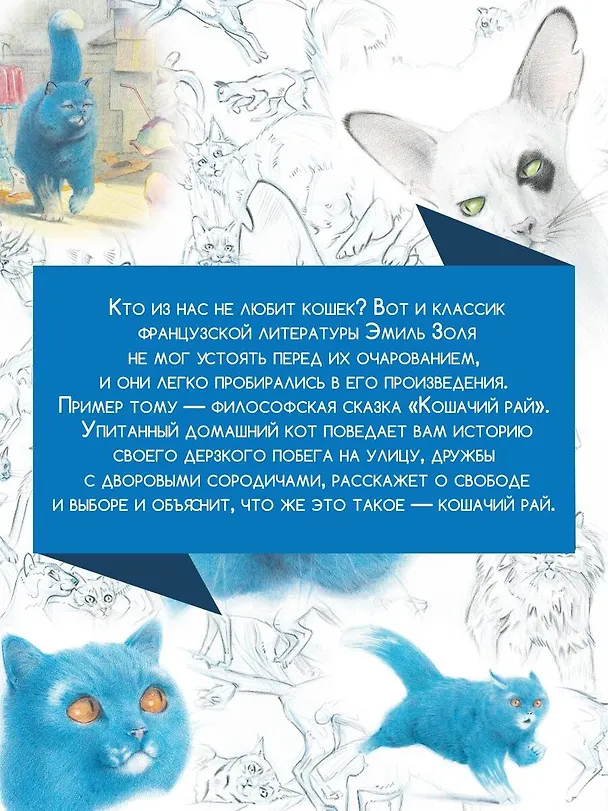 Книга Кошачий рай (Эмиль Золя) — 6