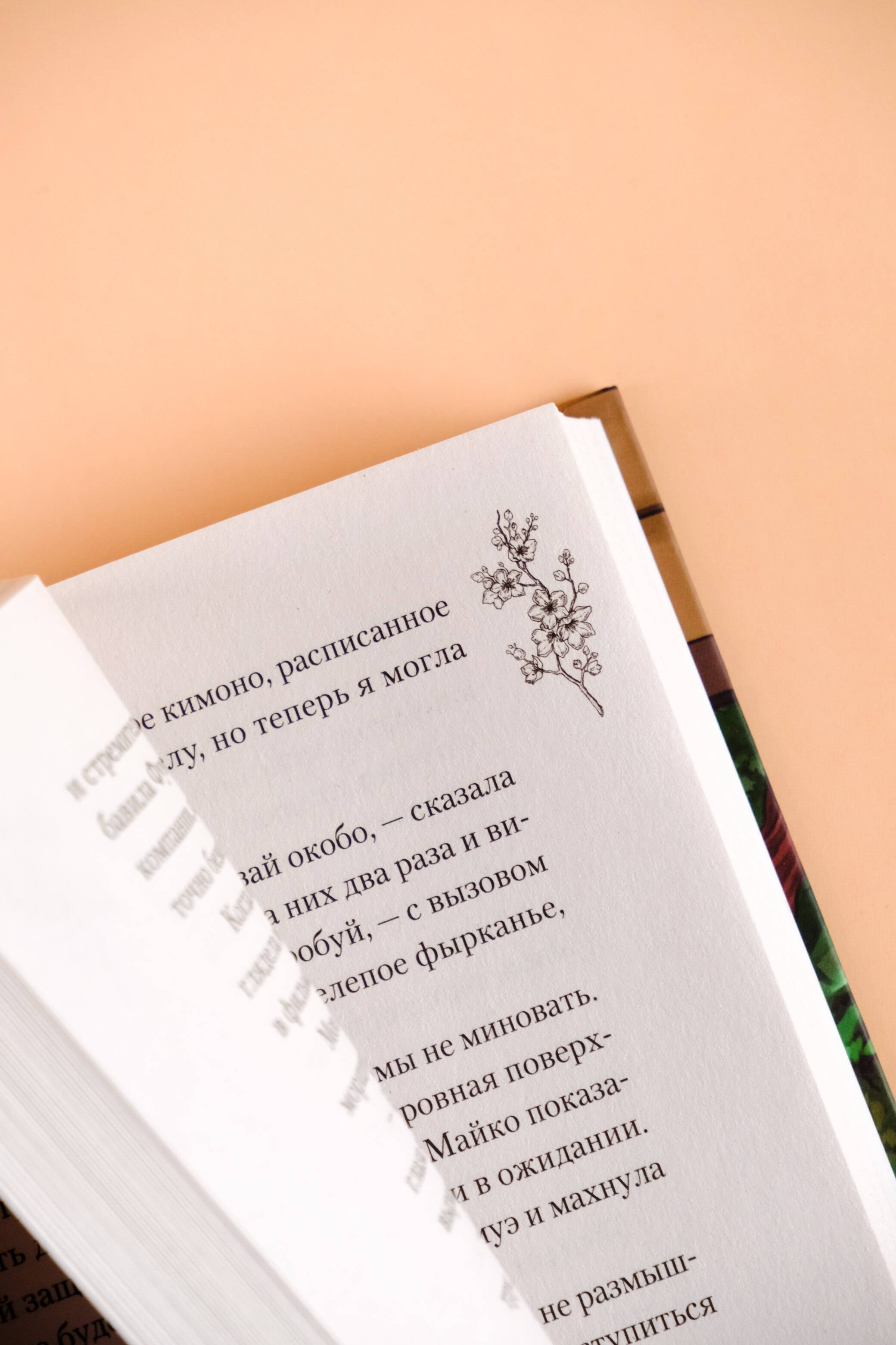 Изображение бумажной книги