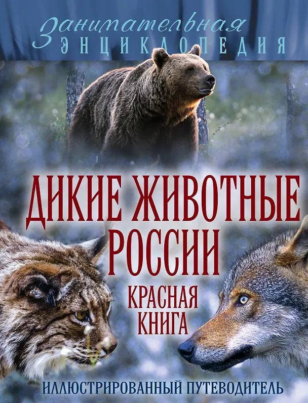 Книга Дикие животные России. Красная книга: иллюстрированный путеводитель (Александр Очеретний) — 1