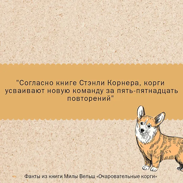 Книга Очаровательные корги: походка, которая вдохновляет! (Мила Вельш) — 7