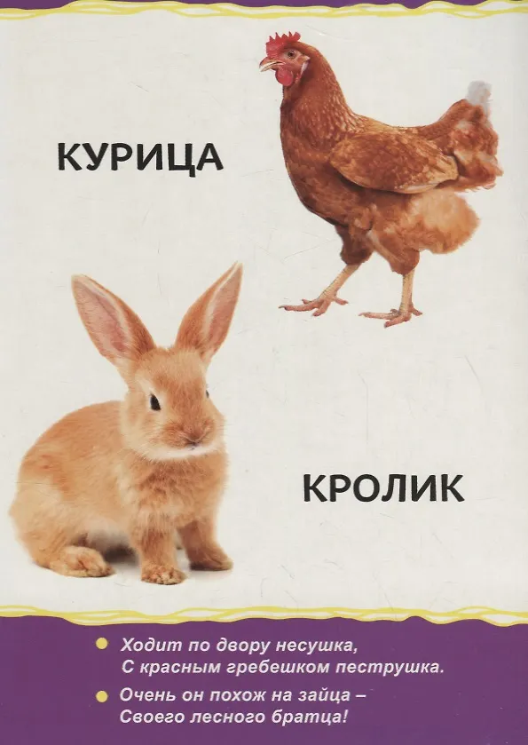 Книга Домашние животные для малышей () — 4