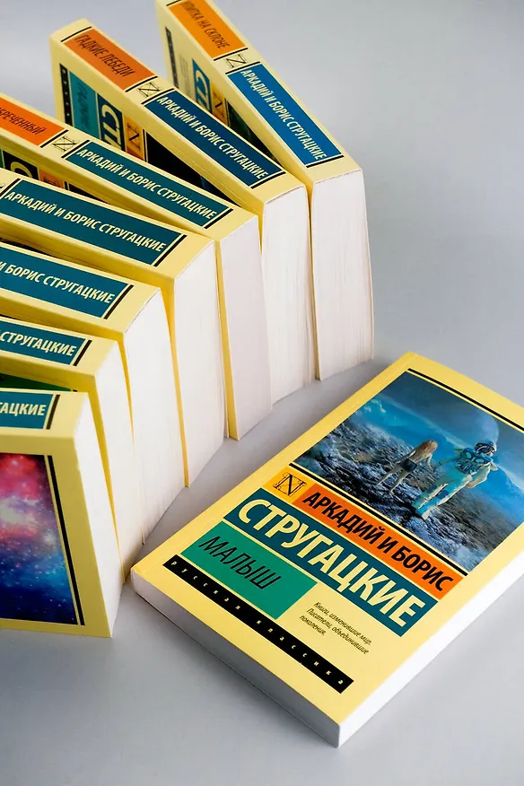 Книга Малыш (Борис Стругацкий, Аркадий Стругацкий) — 7