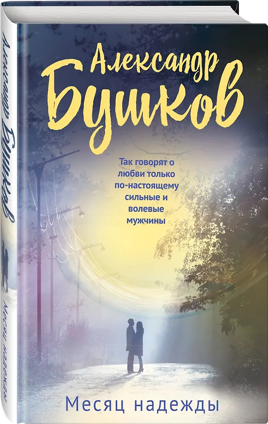 Книга Месяц надежды (Александр Бушков) — 4