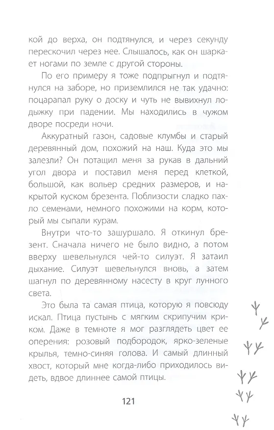 Книга Птицы поют даже в хмурые дни (Питер Карнавас) — 7