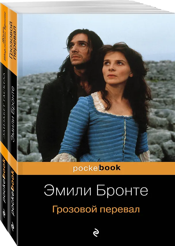 Книга Грозовой перевал. Жизнь Шарлотты Бронте (комплект из 2 книг) (Эмили Джейн Бронте) — 4