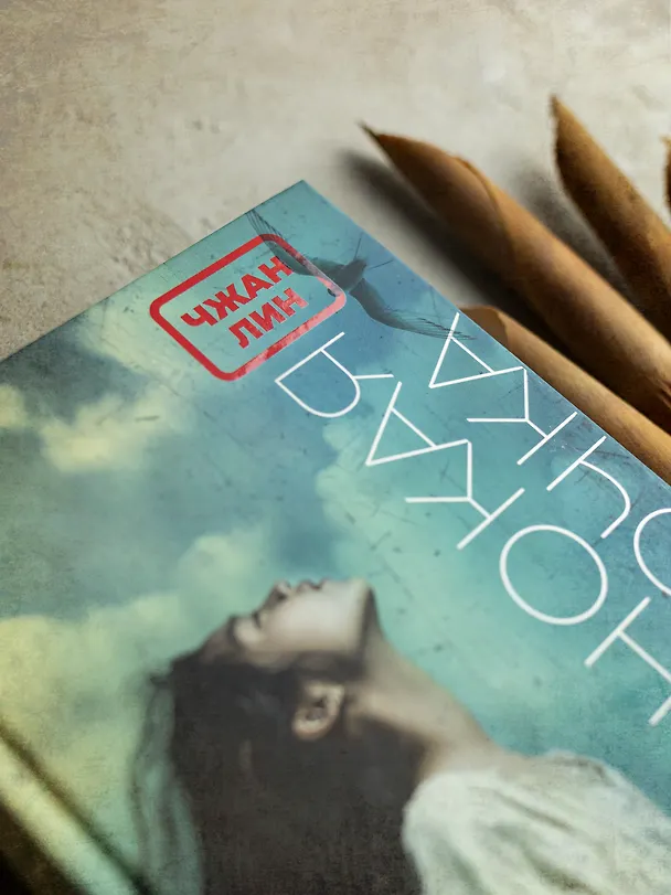 Книга Одинокая ласточка (Чжан Лин) — 6