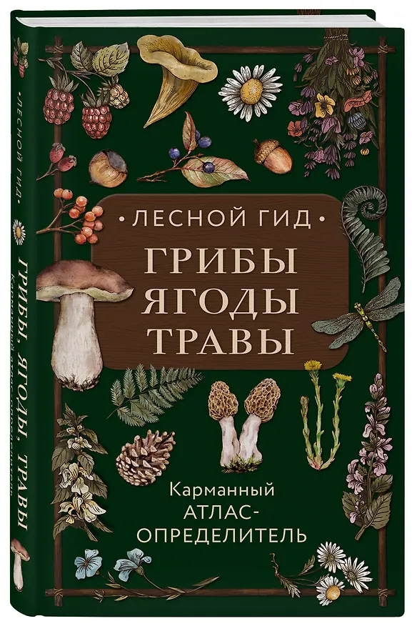 Книга Лесной гид: грибы, ягоды, травы. Карманный атлас-определитель (Людмила Семенова) — 5