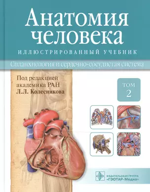 Анатомия человека.Т.2-Спланхнология и сердечно-сосудистая система.Учебник в 3 томах — 2513189 — 1