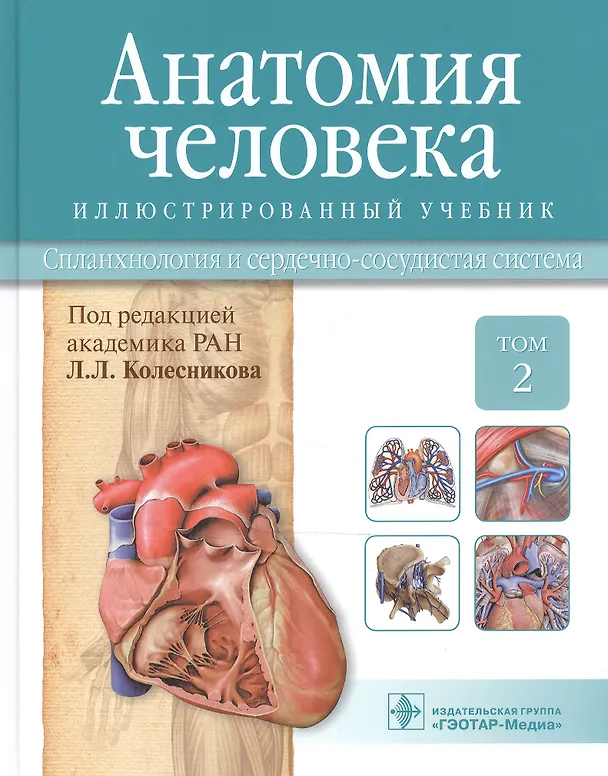 Книга Анатомия человека.Т.2-Спланхнология и сердечно-сосудистая система.Учебник в 3 томах (Лев Колесников) — 1