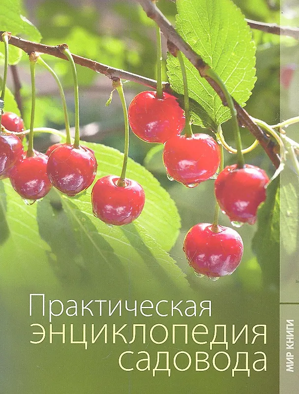 Книга Практическая энциклопедия садовода (Ольга Яковлева) — 2