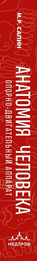 Книга Анатомия человека. Компактный атлас. Опорно-двигательный аппарат (Михаил Сапин) — 4
