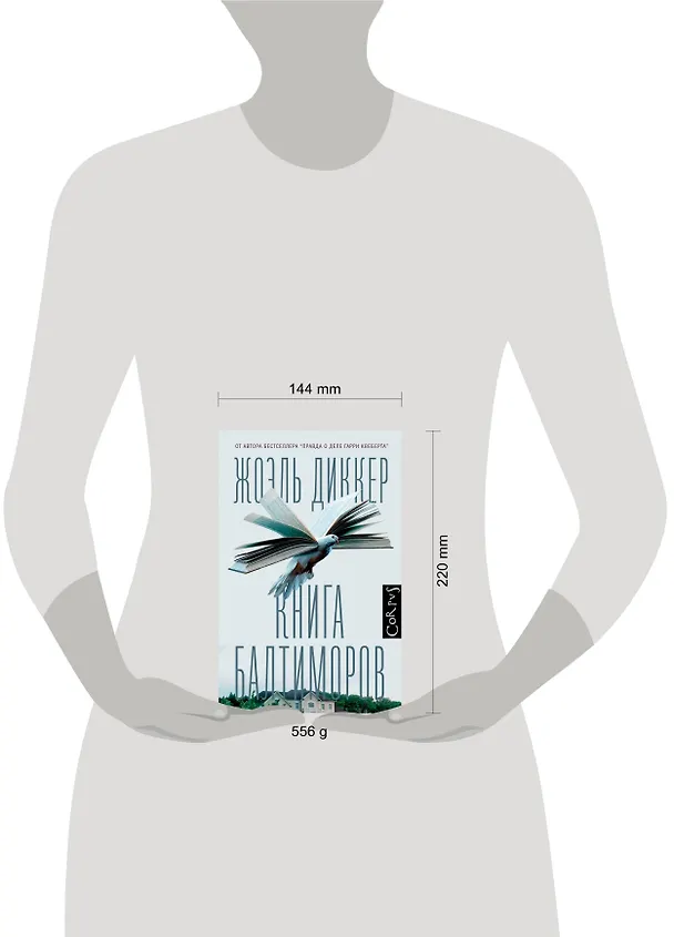 Книга Книга Балтиморов (Жоэль Диккер) — 10