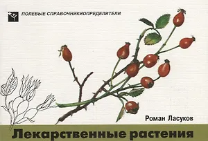 Лекарственные растения. Карманный определитель лекарственных растений средней полосы Европейской части России