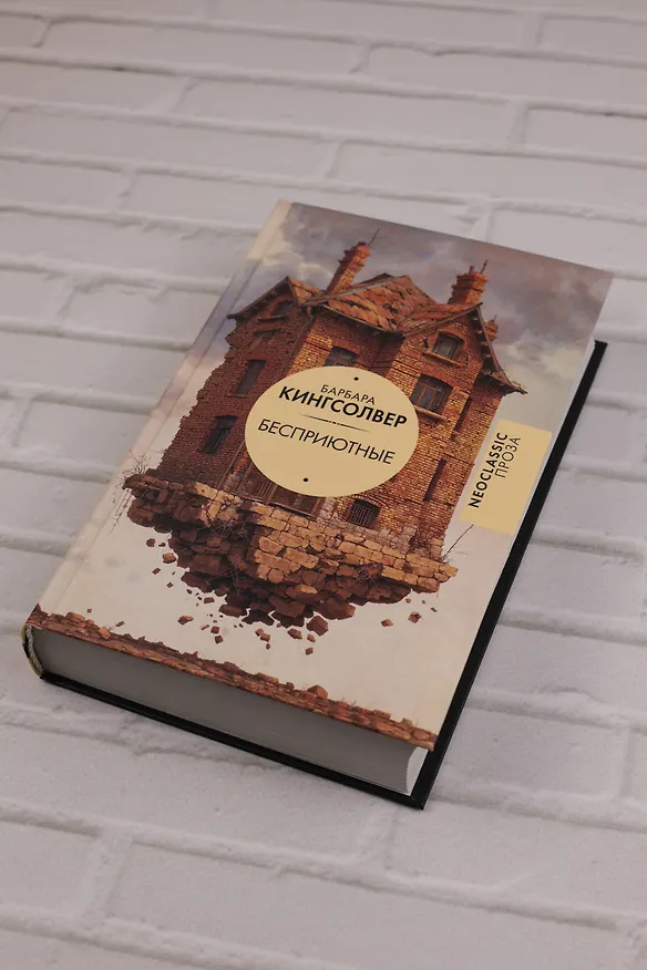 Книга Бесприютные (Барбара Кингсолвер) — 9