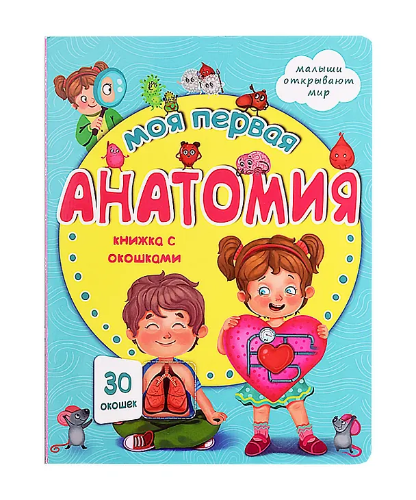 Книга Моя первая анатомия. Книжка с окошками (Оксана Иванова) — 1