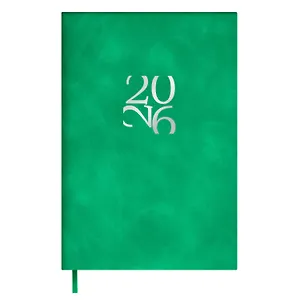 Ежедневник датированный 2026 год, А6, 120 листов, "Бейбискин", зеленый