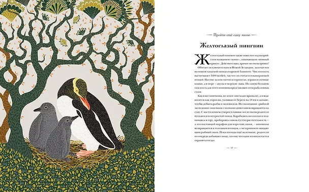 Книга Книга исчезающих животных для неравнодушных сердец (Милли Маротта) — 11