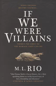 If We Were Villains