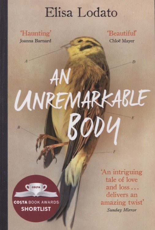 

An Unremarkable Body