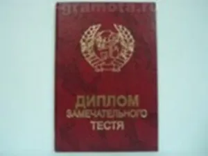 Диплом замечательного тестя (AE0000145) (Мастер)