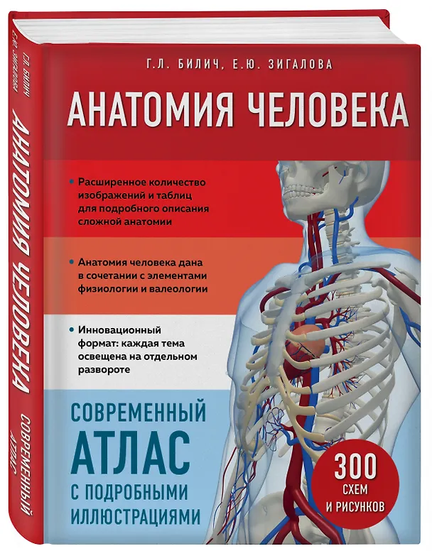 Книга Анатомия человека. Современный атлас с подробными иллюстрациями (Елена Зигалова, Габриэль Билич) — 5