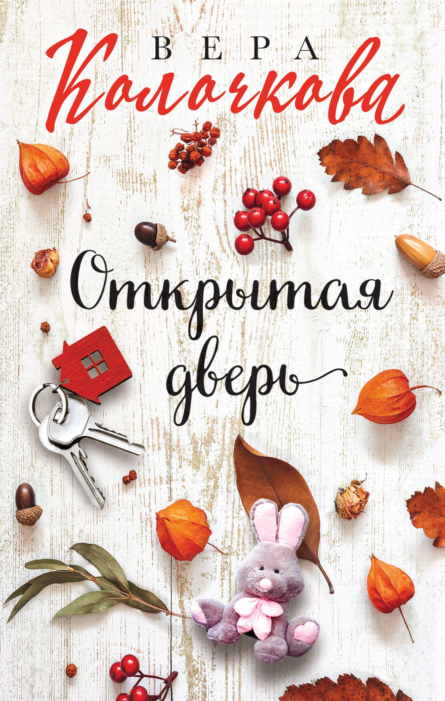 

Открытая дверь