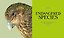 Fantastic Beasts: The Wonder of Nature Фантастические твари: чудо природы/ Книги на английском языке — 2847653 — 2