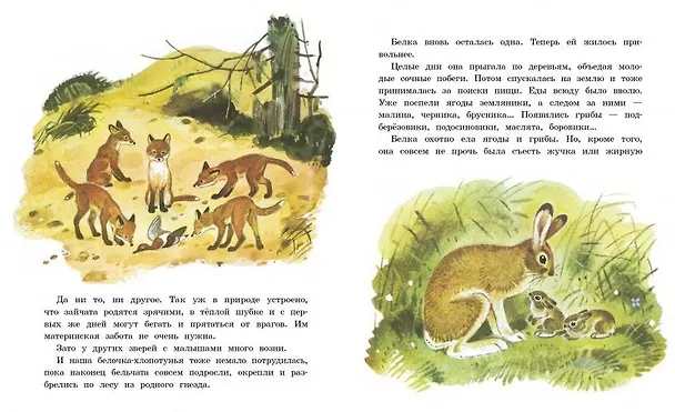 Книга Белочка-хлопотунья (Георгий Скребицкий) — 2
