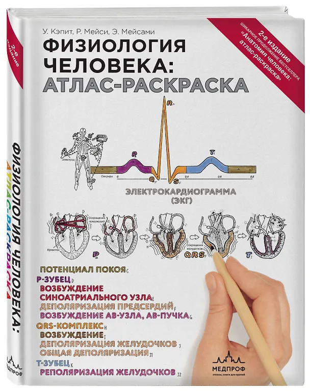 Книга Физиология человека: атлас-раскраска (Уинн Кэпит, Роберт Мейси, Эсмаил Мейсами) — 5