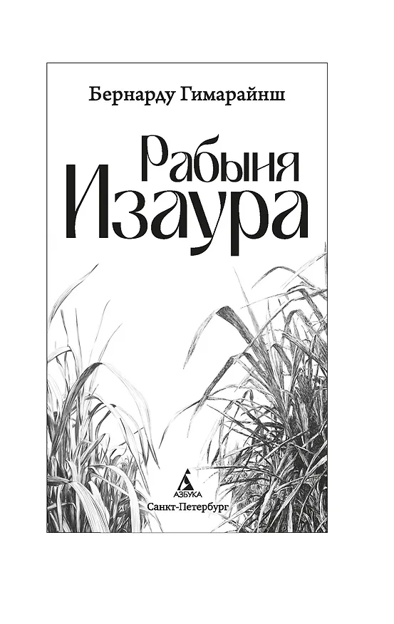 Книга Рабыня Изаура (Бернарду Гимарайнш) — 21