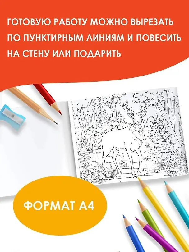 Книга Мир вокруг. Альбом для раскрашивания () — 6