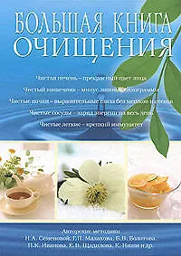 Книга Большая книга очищения (Е. Демина)