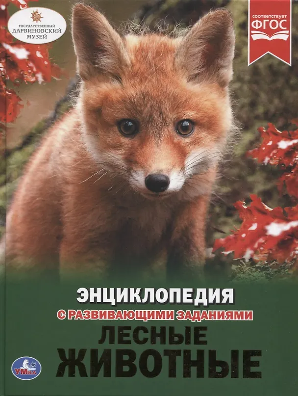 Книга Лесные животные. Энциклопедия с развивающими заданиями () — 1
