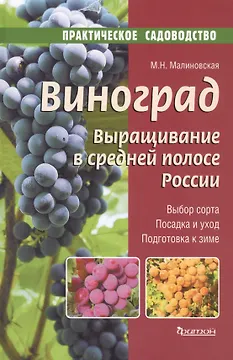 Виноград.Выращивание в средней полосе России.Выбор сорта.Посадка и уход.Подготовка к зиме