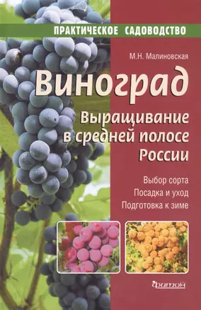 Виноград.Выращивание в средней полосе России.Выбор сорта.Посадка и уход.Подготовка к зиме — 2556250 — 1