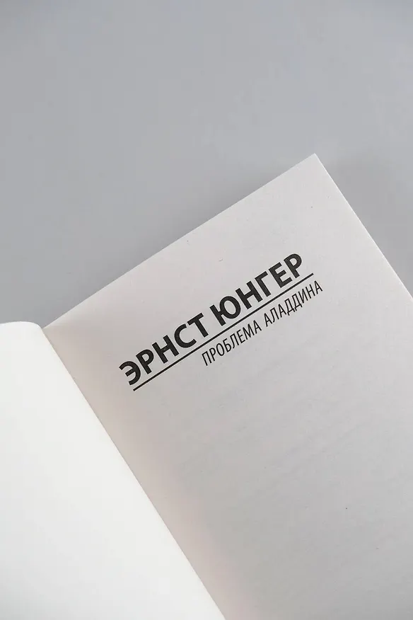 Книга Проблема Аладдина (Эрнст Юнгер) — 7