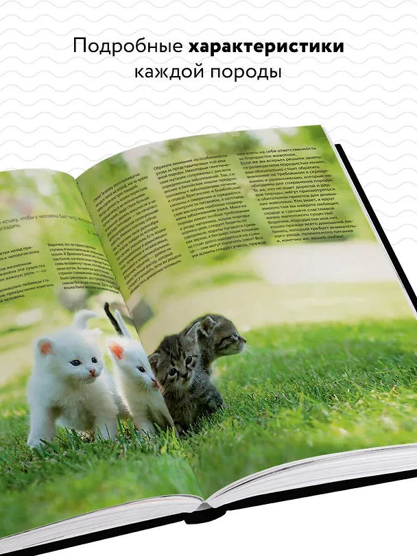 Книга Кошки. Самая полная иллюстрированная энциклопедия (Светлана Дудникова) — 6