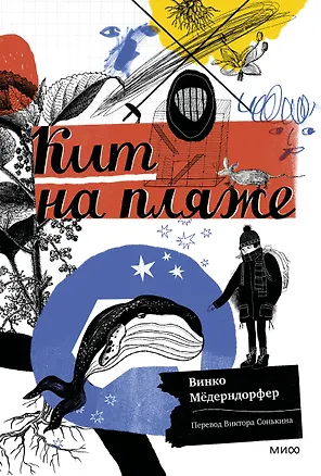 Книга Кит на пляже (Винко Медерндорфер)