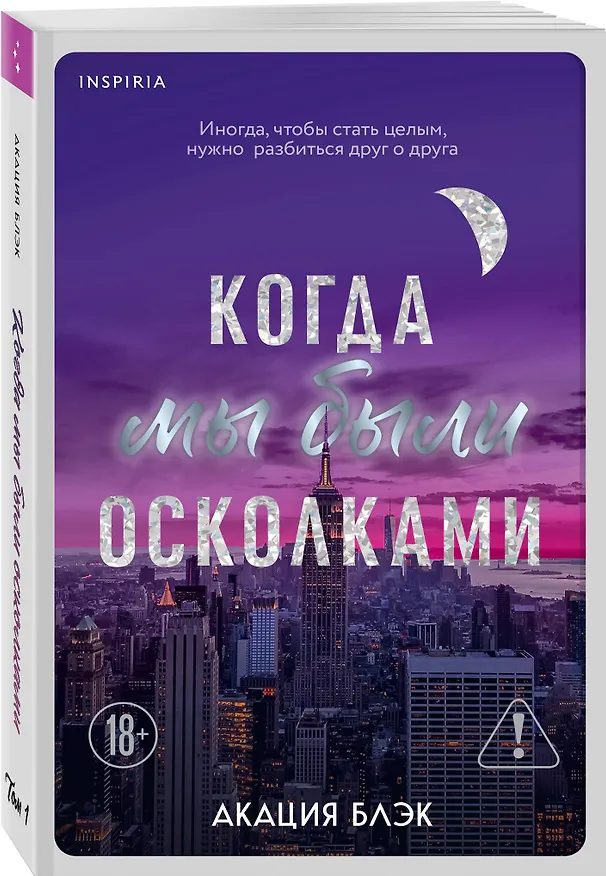 Книга Когда мы были осколками (Акация Блэк) — 4