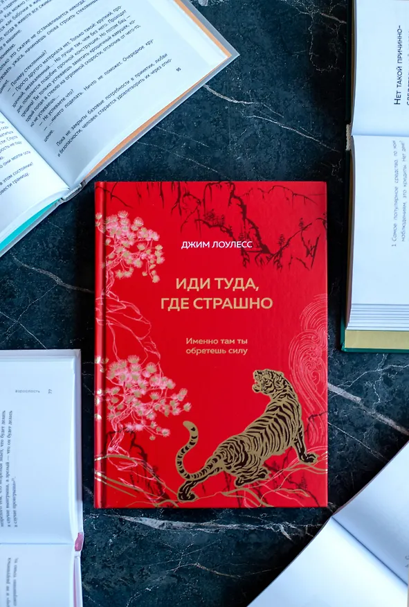 Книга Иди туда, где страшно. Именно там ты обретешь силу (Джим Лоулесс) — 13