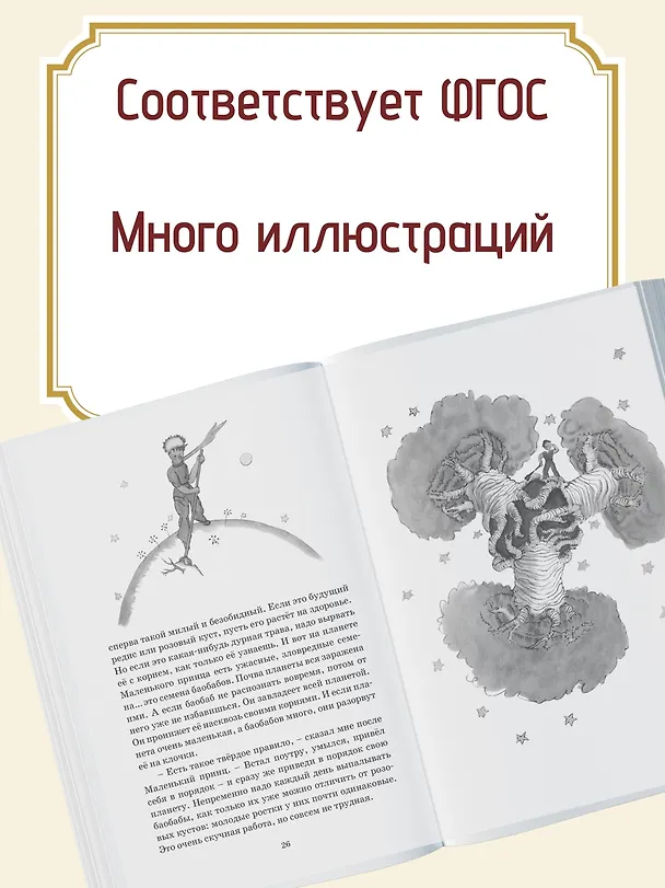 Книга Маленький принц (Антуан де Сент-Экзюпери) — 7